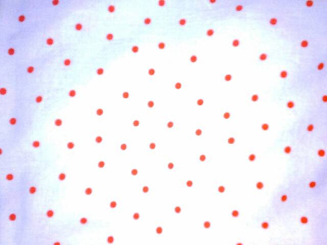 Lifeblog posted image